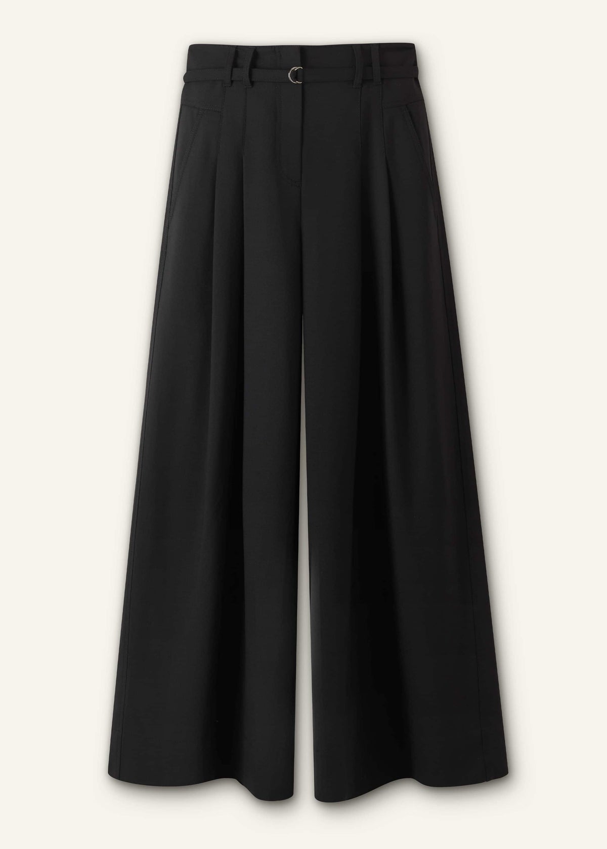 Black Wool Ultra Wide-Leg Pleat Pant | ME+EM