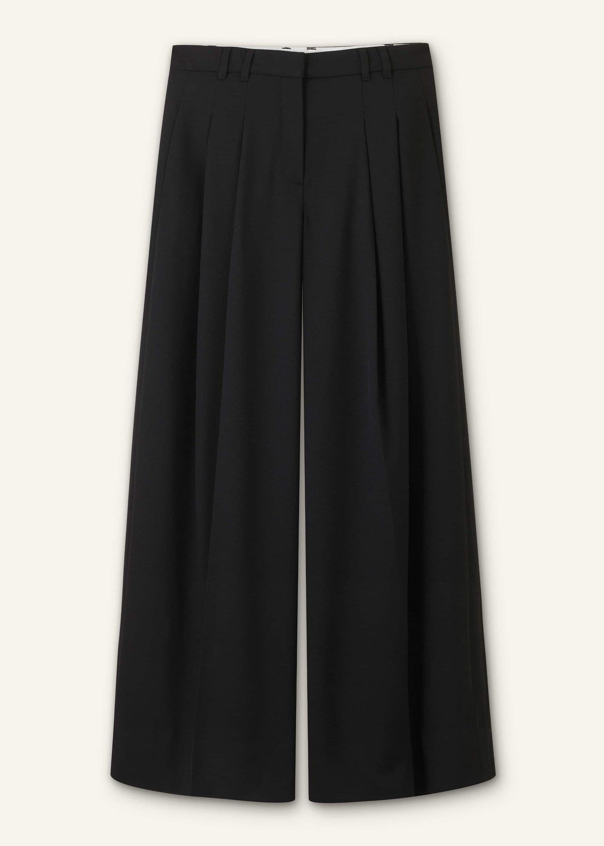 Black Wide-Leg Pleat Pant | ME+EM