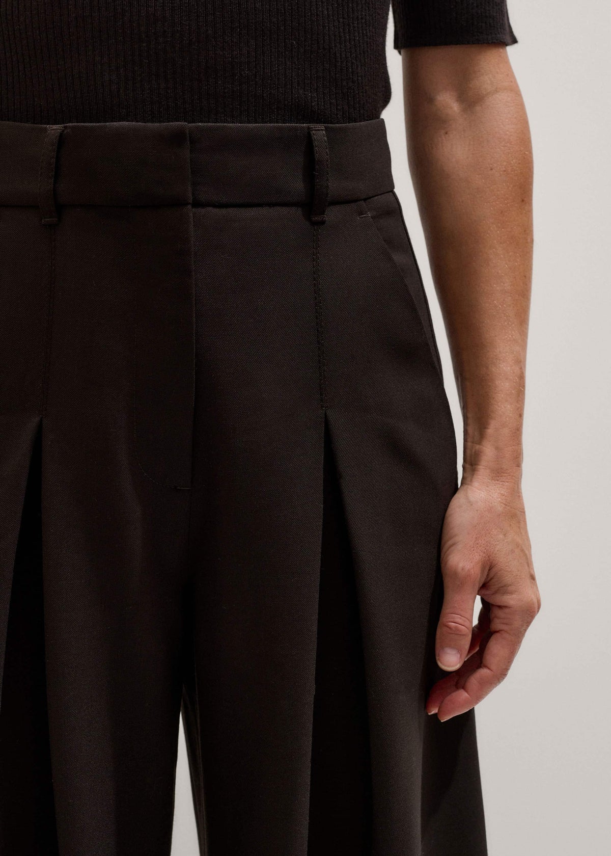 Brown Wool Ultimate Pleat-Front Wide-Leg Pant | ME+EM