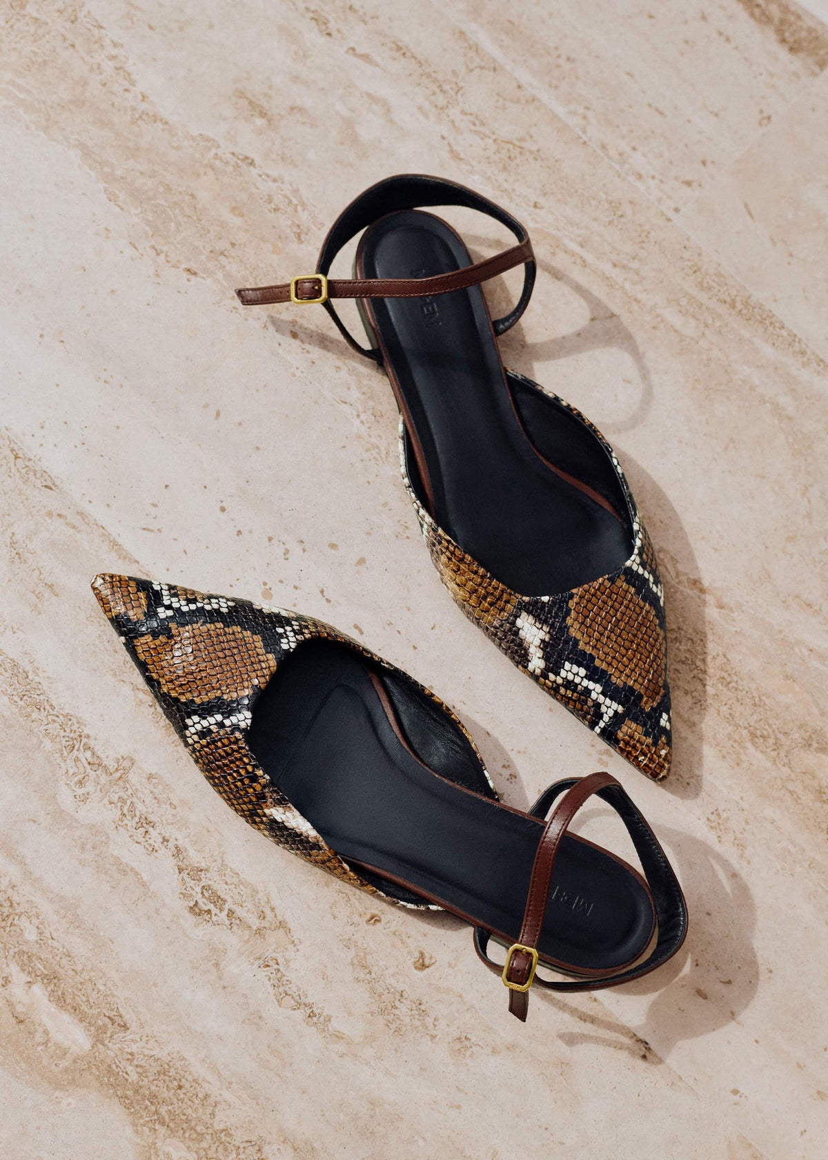 Brown Point Toe Flat | ME+EM